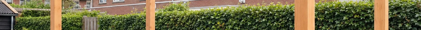 Palen Plaatsen